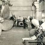 la storia eliche radice